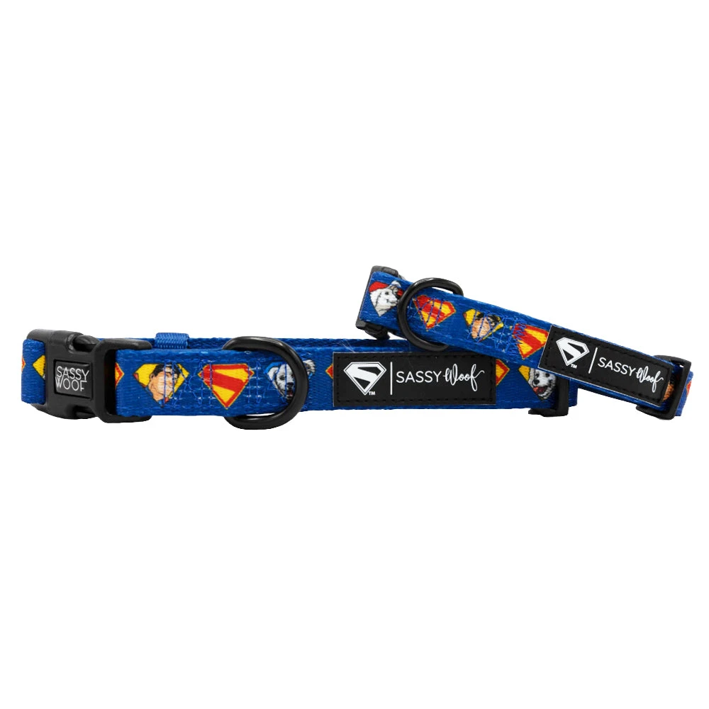 Dog Three Piece Bundle - Superman™ & Krypto™ 5 Dog Three Piece Bundle - Superman™ & Krypto™ - Image 3