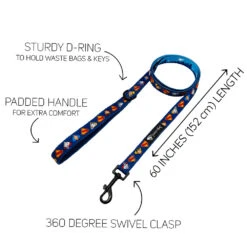 Dog Two Piece Bundle - Superman™ & Krypto™ -Furfinity Cheap Shop SUPERMAN KRYPTO LEASH GUIDE
