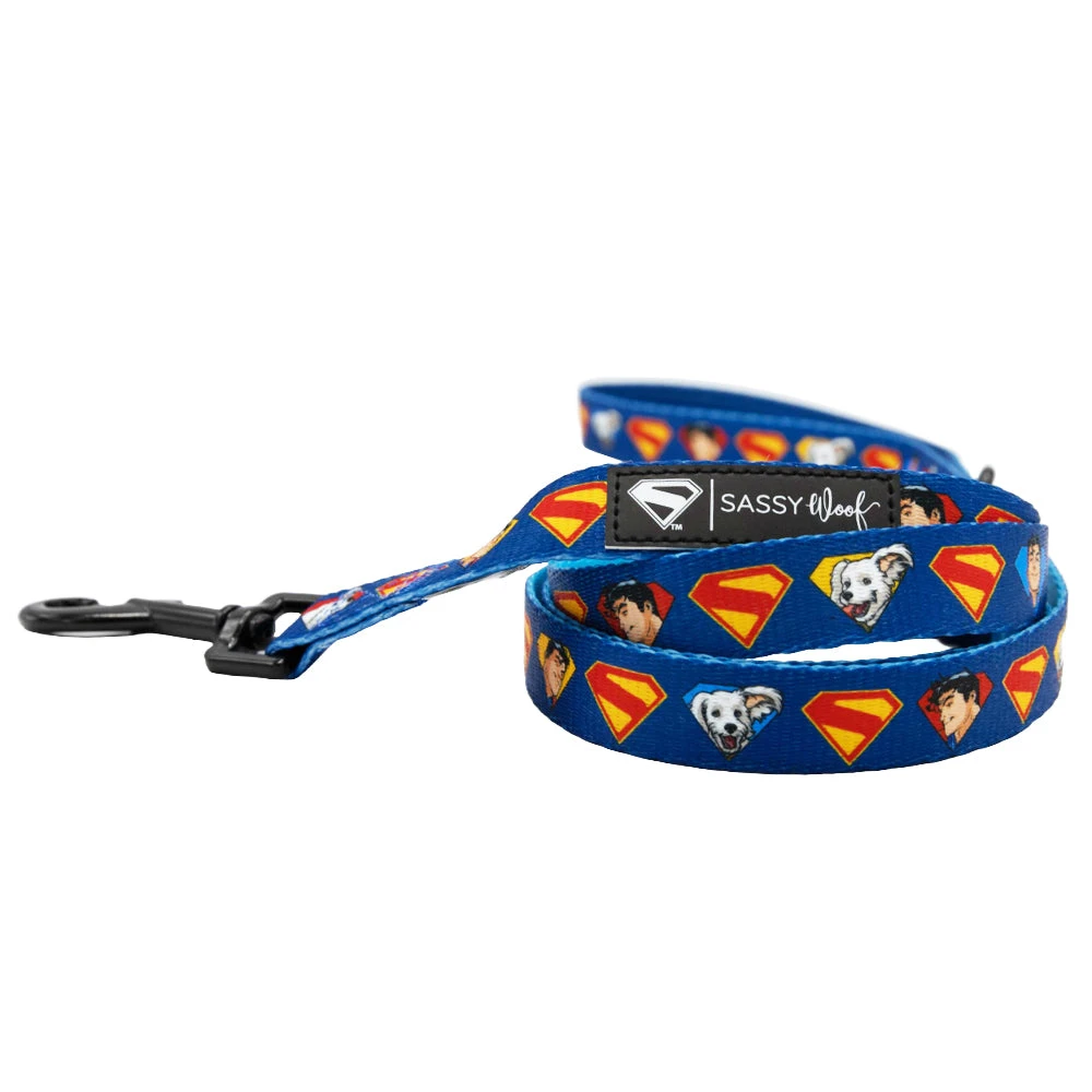 Dog Three Piece Bundle - Superman™ & Krypto™ 6 Dog Three Piece Bundle - Superman™ & Krypto™ - Image 4