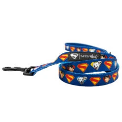 Dog Four Piece Bundle - Superman™ & Krypto™ -Furfinity Cheap Shop SUPERMAN KRYPTO LEASH 9ccc9dd1 711f 4e1e a818 f058f2be80d8