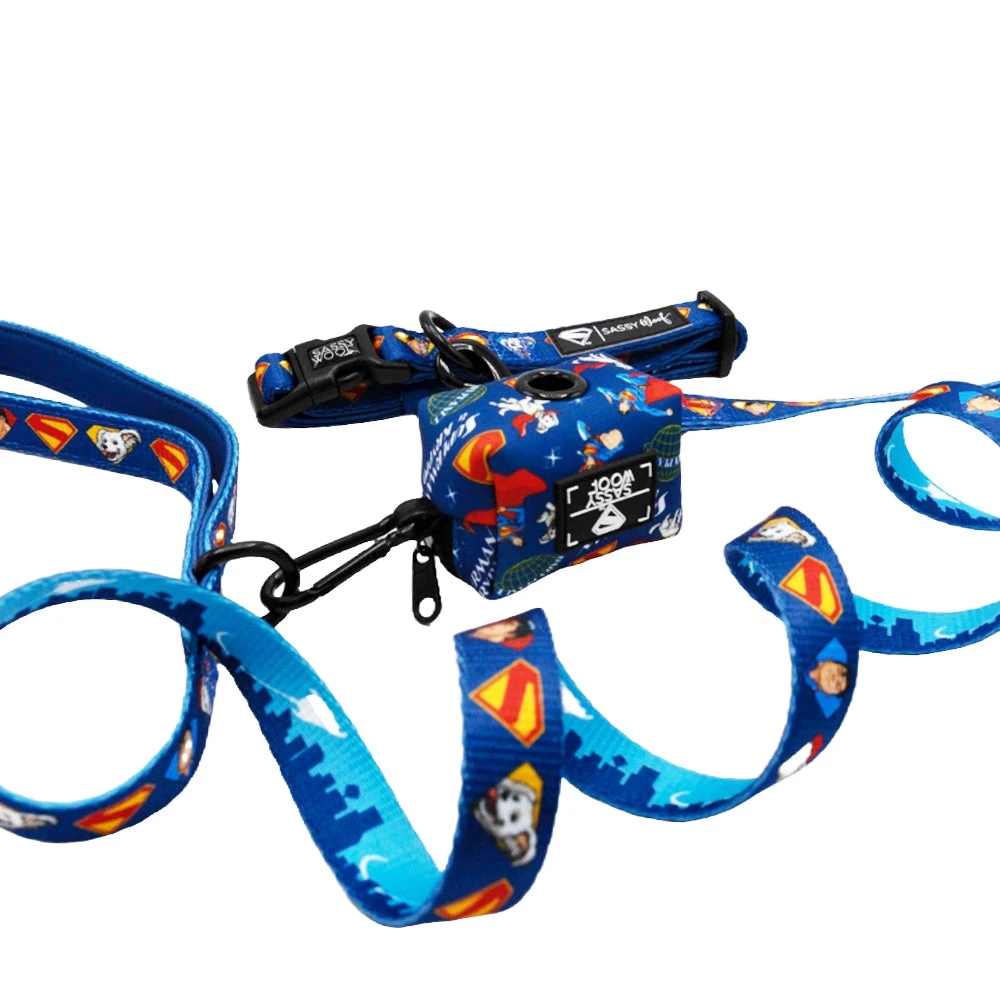 Dog Three Piece Bundle - Superman™ & Krypto™ 4 Dog Three Piece Bundle - Superman™ & Krypto™ - Image 2