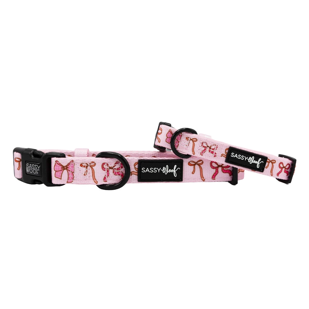 Dog Collar - Sweet Treats 3 Dog Collar - Sweet Treats