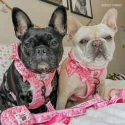 Dog Four Piece Bundle - BARBIE™ Malibu 33 Dog Four Piece Bundle - BARBIE™ Malibu -Furfinity Cheap Shop SWEETPEACHNPLUM2