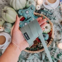 Collar Three Piece Bundle - Sage -Furfinity Cheap Shop Sage ProductPhotos 21