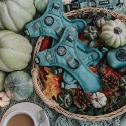 Dog Four Piece Bundle - Sage -Furfinity Cheap Shop Sage ProductPhotos 1