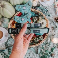 Dog Collar - Sage -Furfinity Cheap Shop Sage ProductPhotos 15