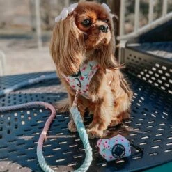 Dog Waste Bag Holder - Sakura 16 Dog Waste Bag Holder - Sakura -Furfinity Cheap Shop Sakura Dig Photo 2 d25521c8 ea06 4c9d a25b 6952d4da00f0