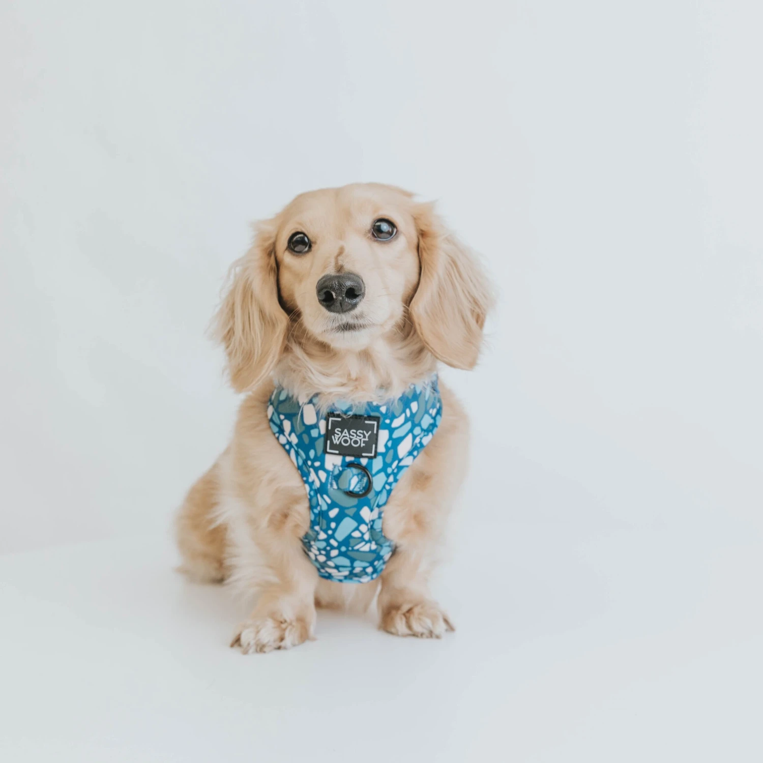 Dog Adjustable Harness - Santorini 10 Dog Adjustable Harness - Santorini - Image 8