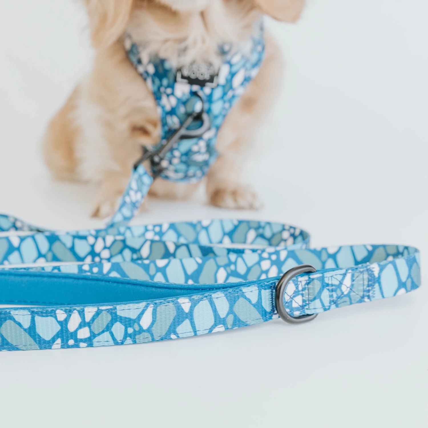 Dog Leash - Santorini 7 Dog Leash - Santorini - Image 5