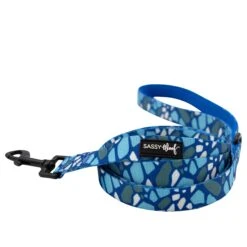 Dog Two Piece Bundle - Santorini 11 Dog Two Piece Bundle - Santorini -Furfinity Cheap Shop Santorini Dog Leash 2 1