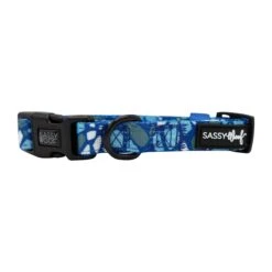 Dog Collar - Santorini -Furfinity Cheap Shop Santorini Dog collar 4
