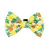 Cat Bowtie - Zest Friends -Furfinity Cheap Shop Sassy meow yellow bow
