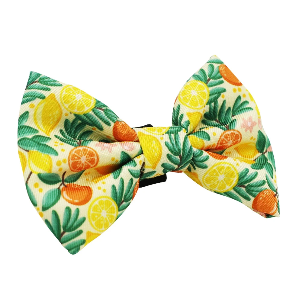 Cat Bowtie - Zest Friends 4 Cat Bowtie - Zest Friends - Image 2