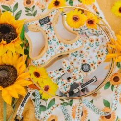 Cat Bundle - Sunflower Dreams -Furfinity Cheap Shop SassyMeowProductPhotos 2