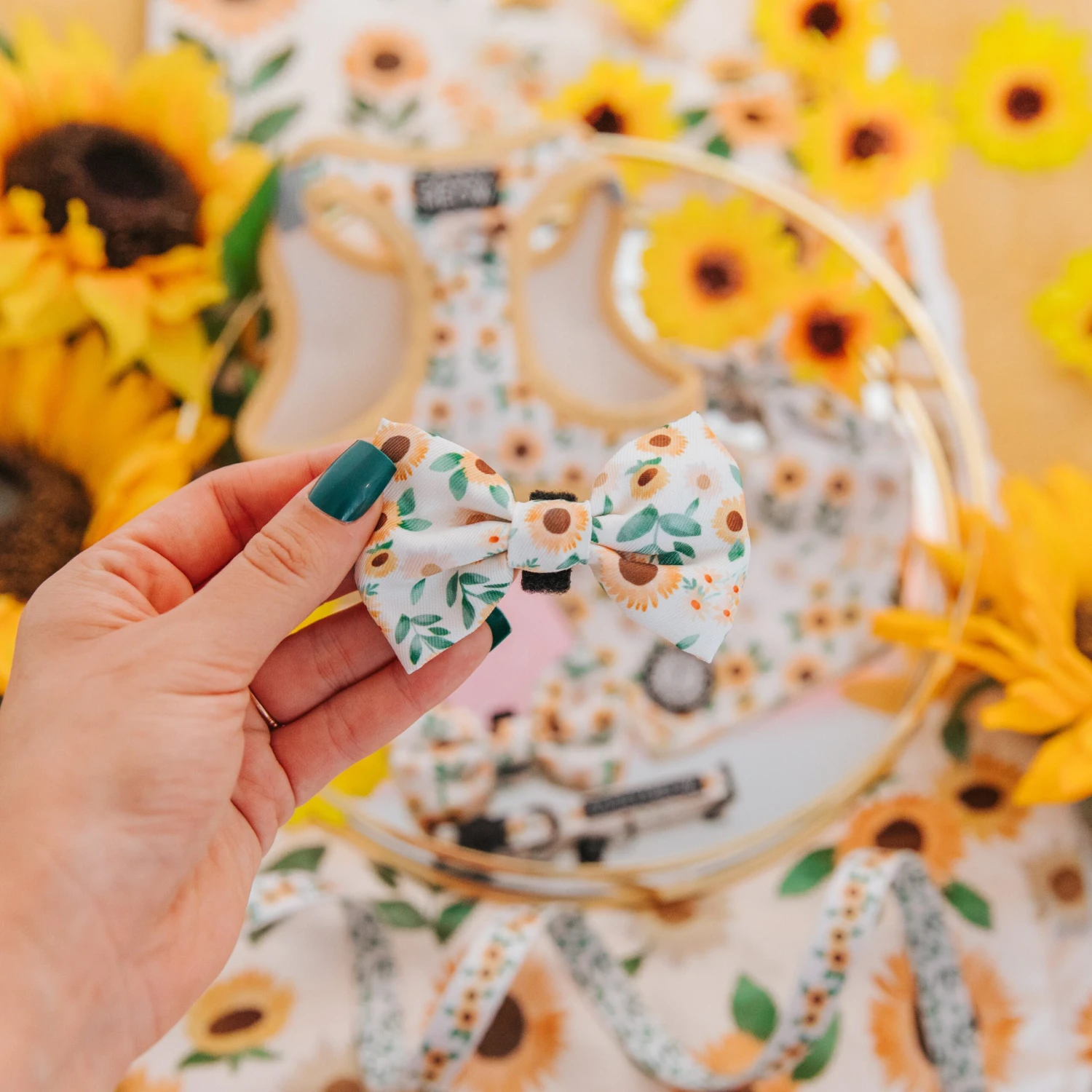 Cat Bowtie - Sunflower Dreams 6 Cat Bowtie - Sunflower Dreams - Image 4