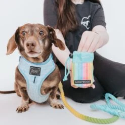 Treat Pouch - Sassy Stripes -Furfinity Cheap Shop SassyStripes TreatPouch ModelImages 2