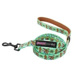 Dog Two Piece Bundle - Scooby-Doo™ -Furfinity Cheap Shop Scoobydoo dog leash 2 74ac39e5 5ff5 4530 a70a 3db15412f155 1