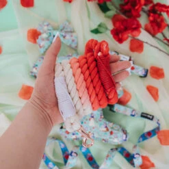 Dog Rope Leash - Disney's Snow White -Furfinity Cheap Shop SnowWhite ProductPhotos 9