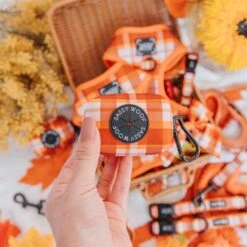 Collar Three Piece Bundle - Spiced Harvest -Furfinity Cheap Shop SpicedHarvest ProductPhoto 20