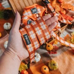 Collar Three Piece Bundle - Spiced Harvest -Furfinity Cheap Shop SpicedHarvest ProductPhoto 6