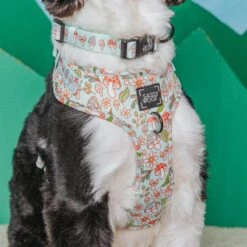 Dog Three Piece Bundle - Shrooms & Blooms -Furfinity Cheap Shop Spring Shrooms Bloooms SizeMedium antjecarsen 10