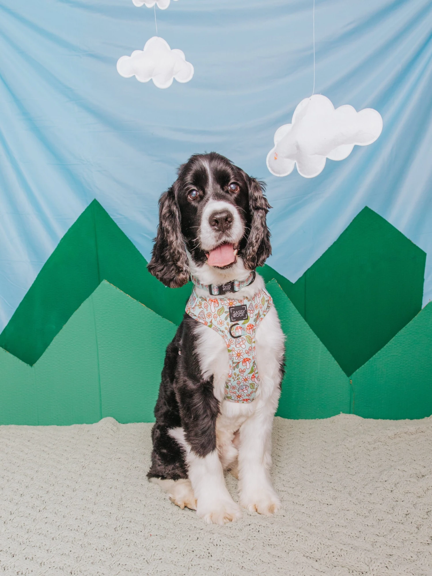 Dog Two Piece Bundle - Shrooms & Blooms 16 Dog Two Piece Bundle - Shrooms & Blooms - Image 14