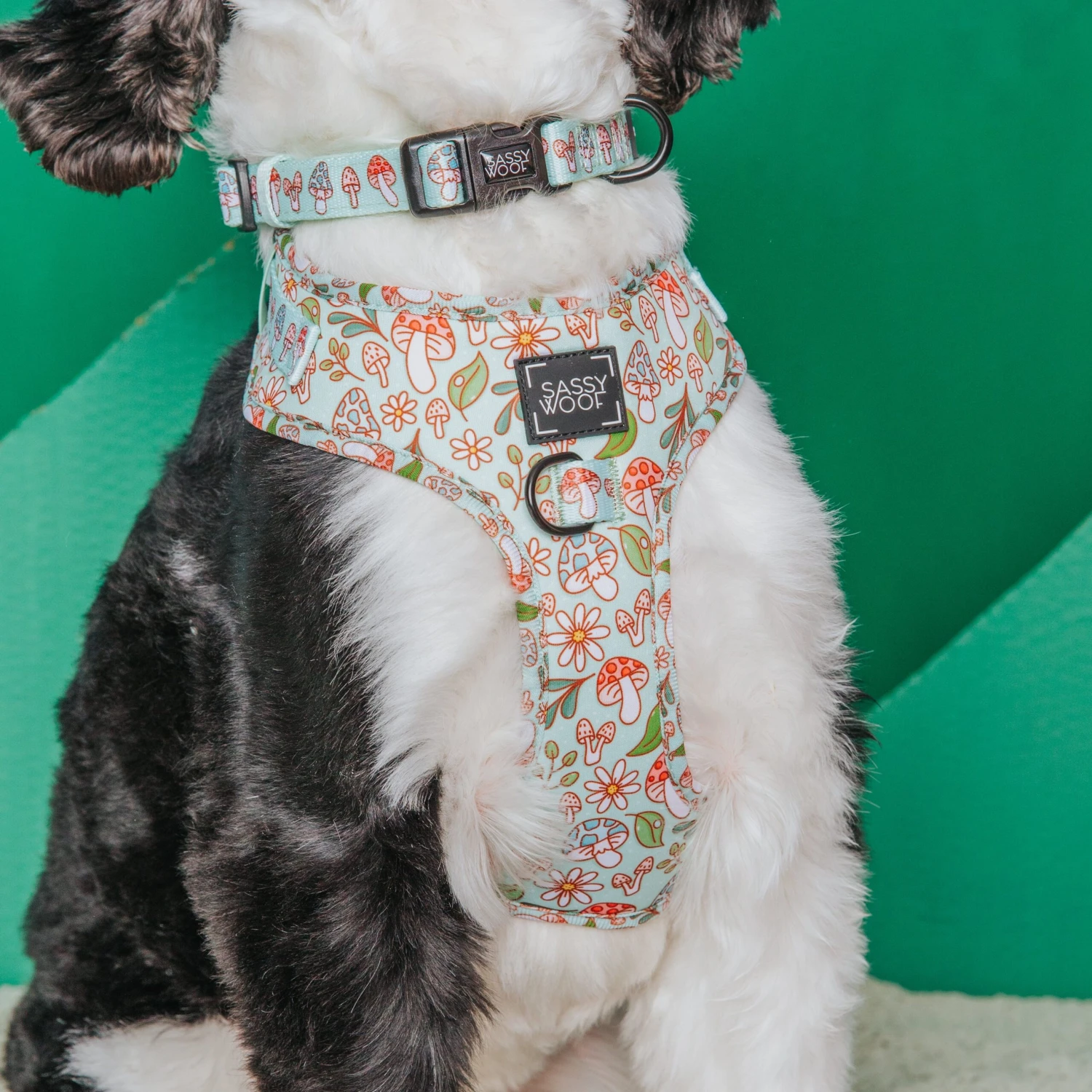 Dog Collar - Shrooms & Blooms 12 Dog Collar - Shrooms & Blooms - Image 10