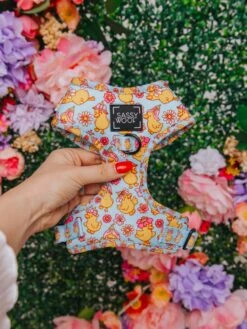 Dog Two Piece Bundle - Good Duck, Babe! -Furfinity Cheap Shop SpringIndividuals 11 ee1c4aa9 09b3 4f93 ba53 a8f82718c91a