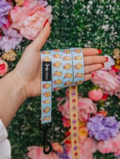 Dog Leash - Good Duck, Babe! -Furfinity Cheap Shop SpringIndividuals 12 3f53c70b dff0 499a a896 4912ae734794