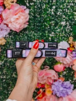 Dog Three Piece Bundle - Fleur De Sass -Furfinity Cheap Shop SpringIndividuals 19