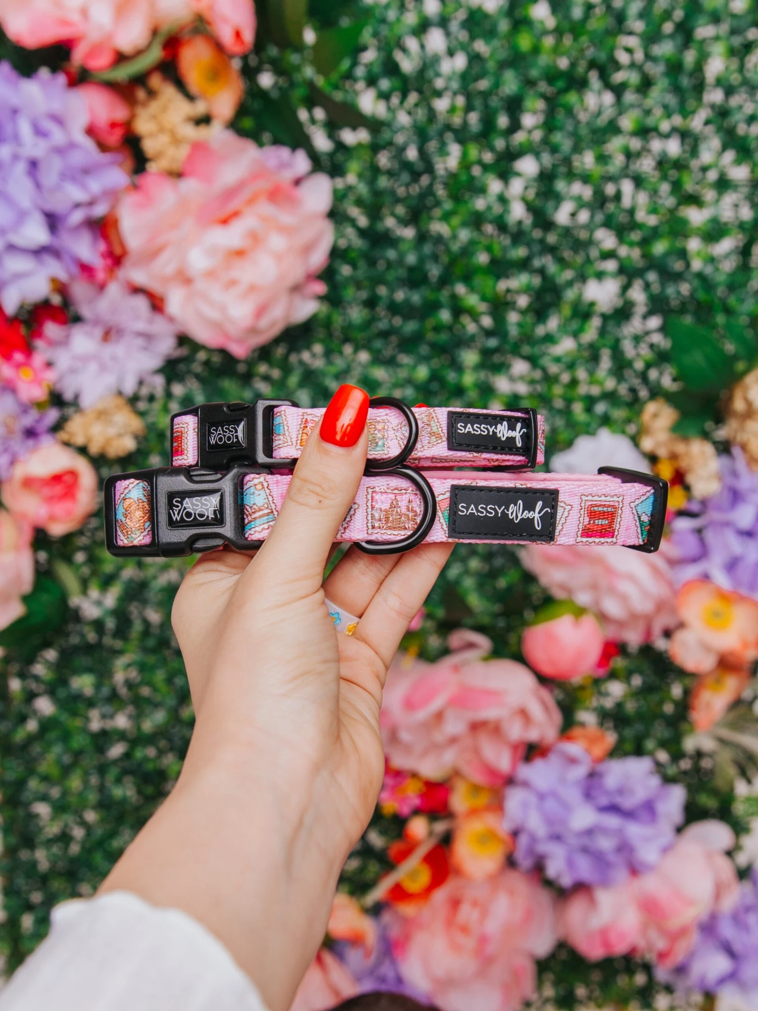 Dog Collar - Out Of Office 7 Dog Collar - Out Of Office - Image 5