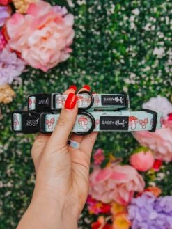 Dog Collar - Good Duck, Babe! -Furfinity Cheap Shop SpringIndividuals 3