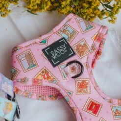 Dog Adjustable Harness - Out Of Office -Furfinity Cheap Shop SpringProductPhotos 3