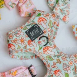 Dog Four Piece Bundle - Shrooms & Blooms -Furfinity Cheap Shop SpringProductPhotos 4 1a259ead 634c 4d9c ae9b b9e1d3ee3aa9