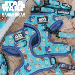 Dog Two Piece Bundle -STAR WARS™ The Mandalorian™ 21 Dog Two Piece Bundle -STAR WARS™ The Mandalorian™ -Furfinity Cheap Shop StarWarsLaunchDay Mandalorian