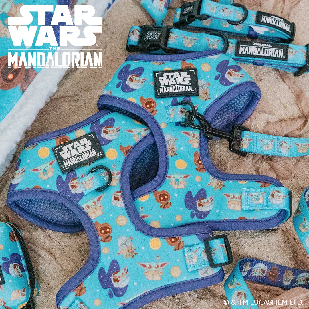 Dog Two Piece Bundle -STAR WARS™ The Mandalorian™ 9 Dog Two Piece Bundle -STAR WARS™ The Mandalorian™ - Image 7
