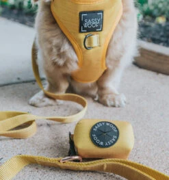 Dog Leash - Sunflower Fields -Furfinity Cheap Shop Sunflower Fields Dog Harness Mini Doxie 7608bc81 0722 4e4a ab7c 80dfc3a95b14