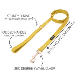 Dog Two Piece Bundle - Sunflower Fields -Furfinity Cheap Shop SunflowerLeashGuide 1