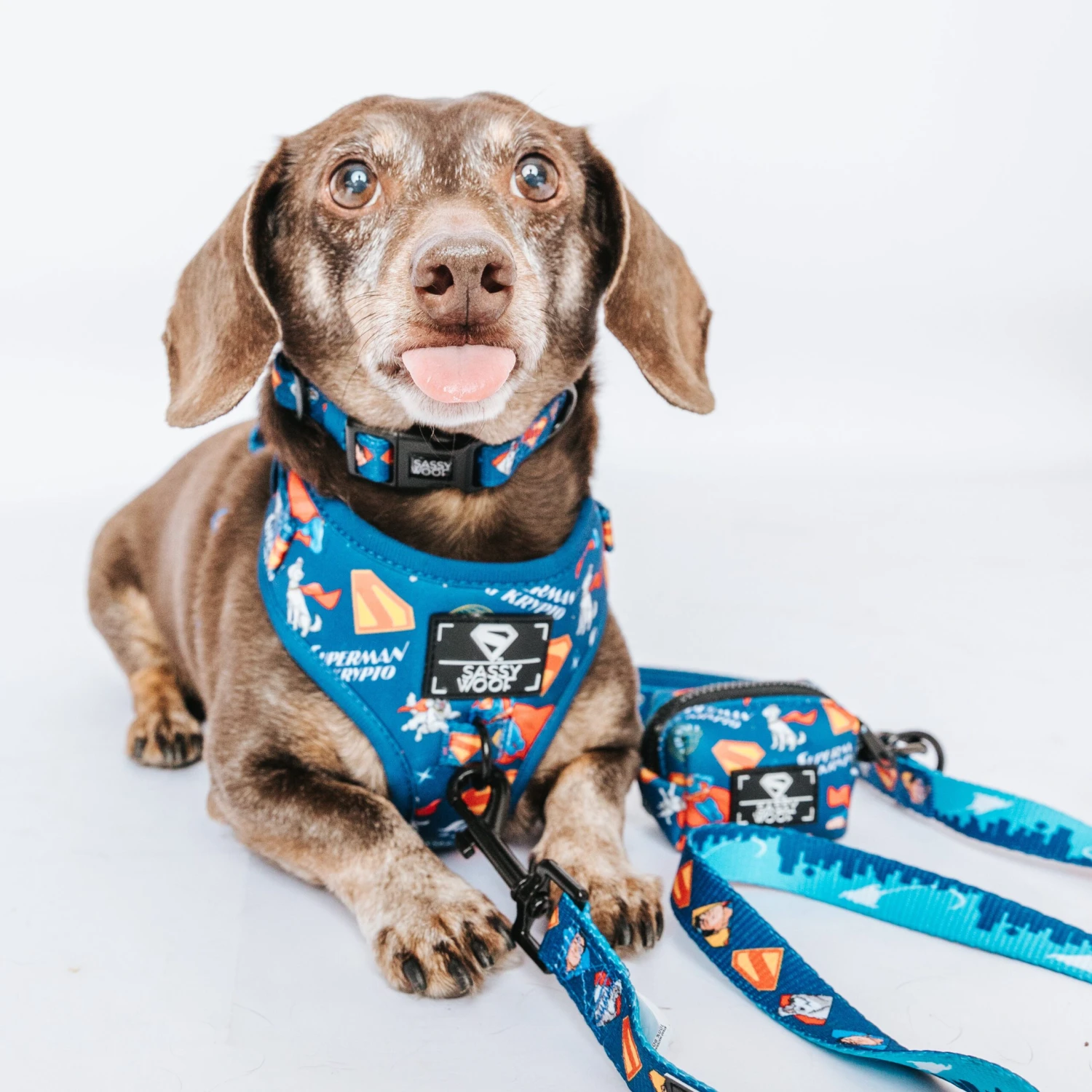 Dog Three Piece Bundle - Superman™ & Krypto™ 12 Dog Three Piece Bundle - Superman™ & Krypto™ - Image 10