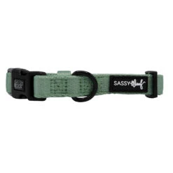 Dog Collar - Sage -Furfinity Cheap Shop TAILS ON TRAILS SAGE COLLAR