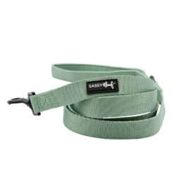 Dog Four Piece Bundle - Sage -Furfinity Cheap Shop TAILS ON TRAILS SAGE LEASH