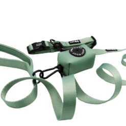 Collar Three Piece Bundle - Sage -Furfinity Cheap Shop TAILS ON TRAILS SAGE THREE PIECE BUNDLE 2