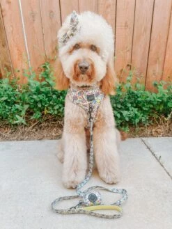 Dog Sailor Bow - Raise The Woof -Furfinity Cheap Shop TALESOFGINGERMAE 2 8e2dcc75 b7f0 4e0e 883a 0be2542fe782