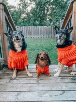 Dog Cable Knit Sweater - Orange -Furfinity Cheap Shop TANKTHEDACH 2 e9b34a8b d43f 4e09 b492 a501d1755f25