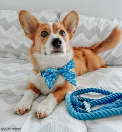 Dog Rope Leash - KEN™ -Furfinity Cheap Shop TATERTHECORGI23 1 1974c846 69f4 4d5b b656 8a39baa64ad4