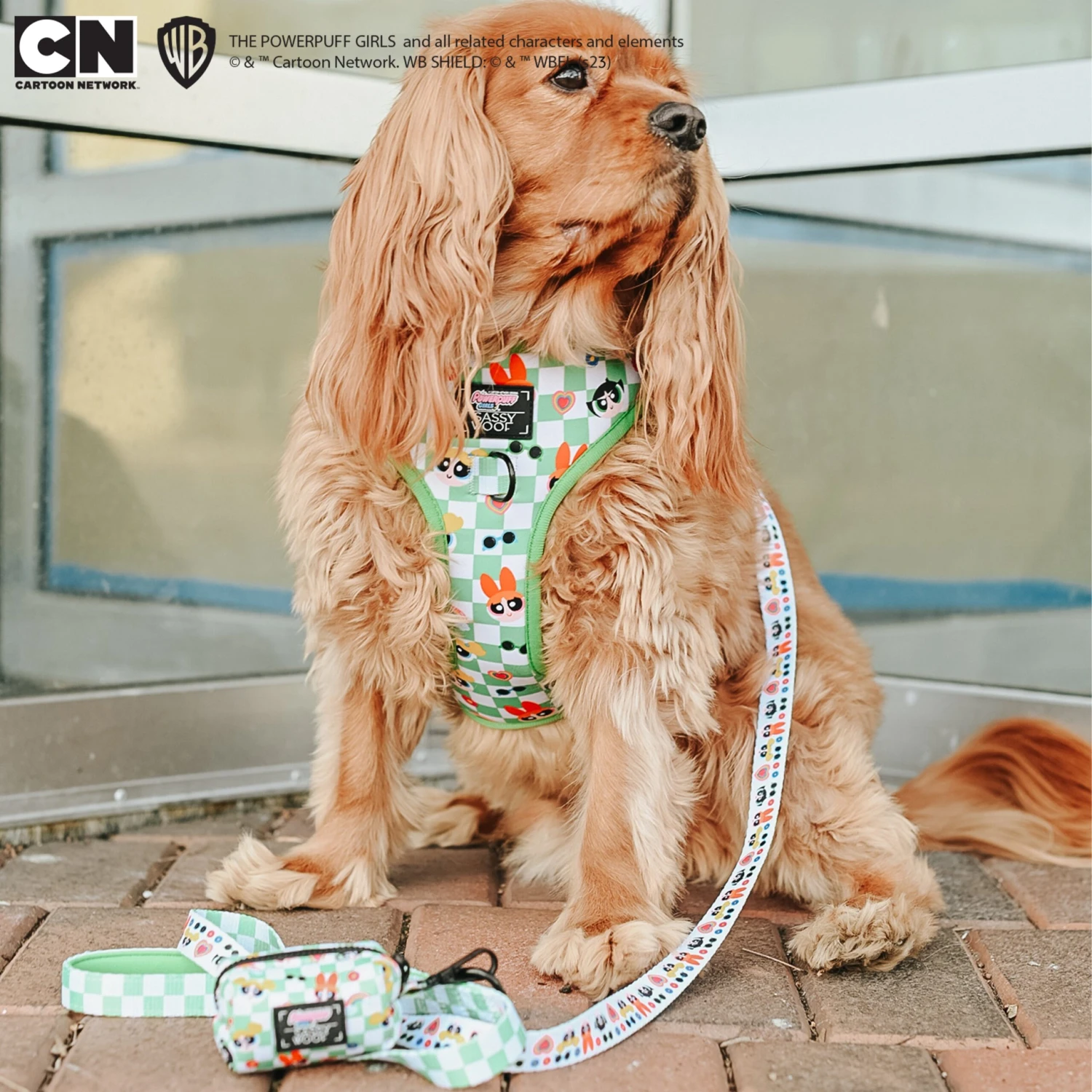 Dog Waste Bag Holder - The Powerpuff Girls™ (Green) 10 Dog Waste Bag Holder - The Powerpuff Girls™ (Green) - Image 8