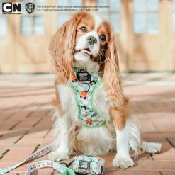 Dog Waste Bag Holder - The Powerpuff Girls™ (Green) 23 Dog Waste Bag Holder - The Powerpuff Girls™ (Green) -Furfinity Cheap Shop THE.THREECAVALIERS PPG 12