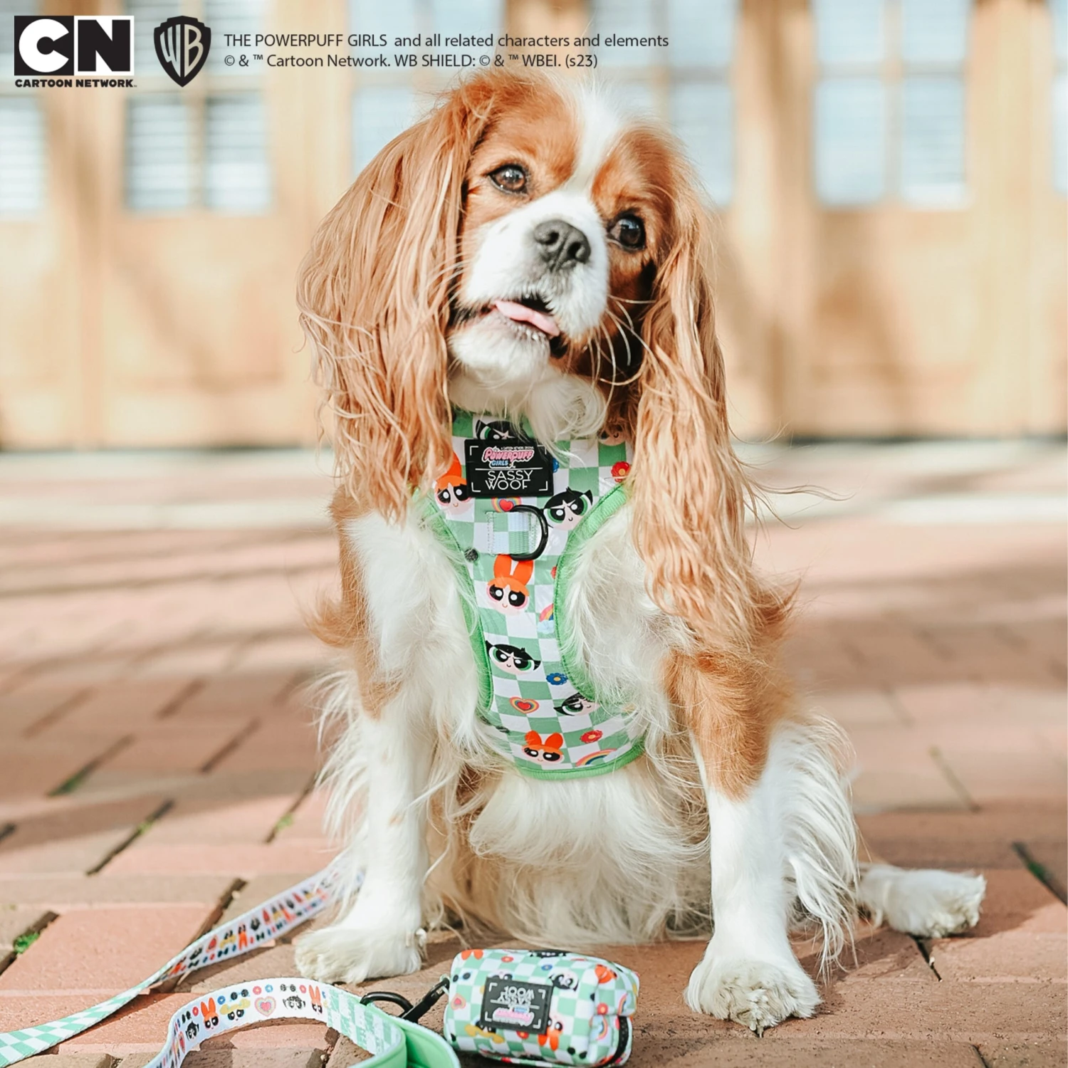 Dog Waste Bag Holder - The Powerpuff Girls™ (Green) 11 Dog Waste Bag Holder - The Powerpuff Girls™ (Green) - Image 9