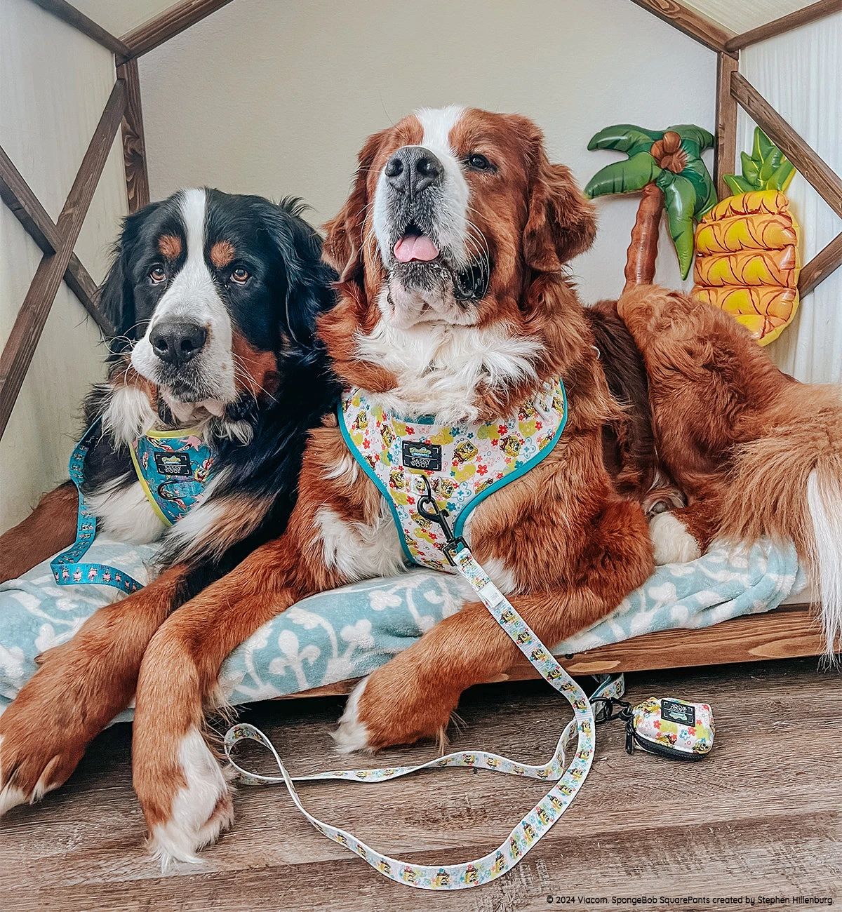 Dog Four Piece Bundle - SpongeBob SquarePants™ Bikini Bottom 13 Dog Four Piece Bundle - SpongeBob SquarePants™ Bikini Bottom - Image 11