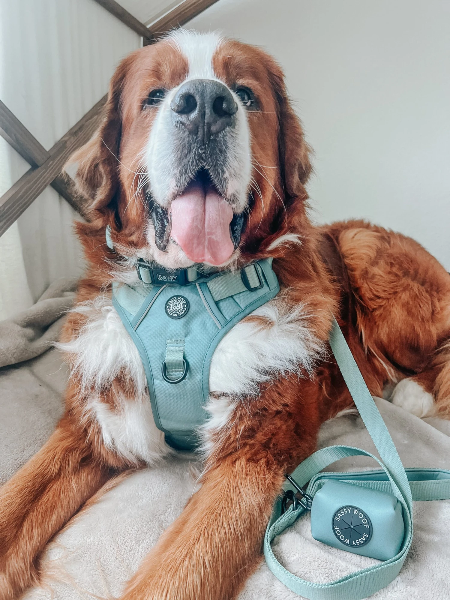 Dog Waste Bag Holder - Sage 7 Dog Waste Bag Holder - Sage - Image 5